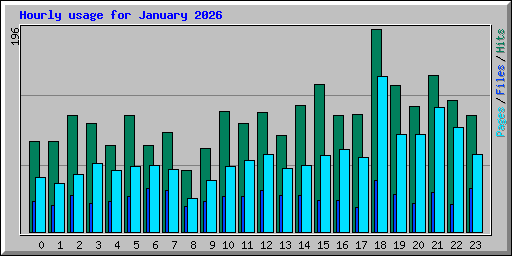 Hourly usage for January 2026